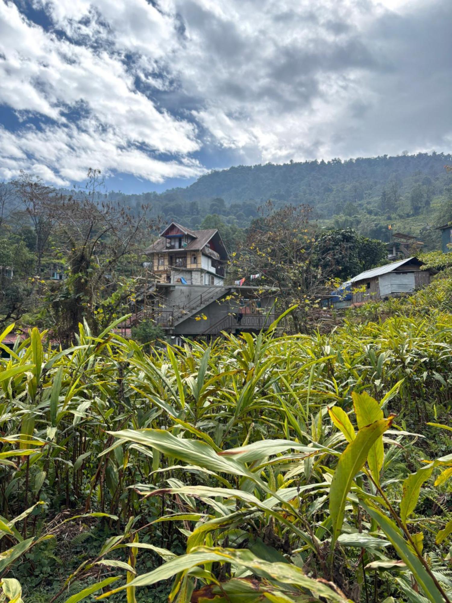 Apartamento Odyssey'S Darap Eco Retreat Pelling Exterior foto